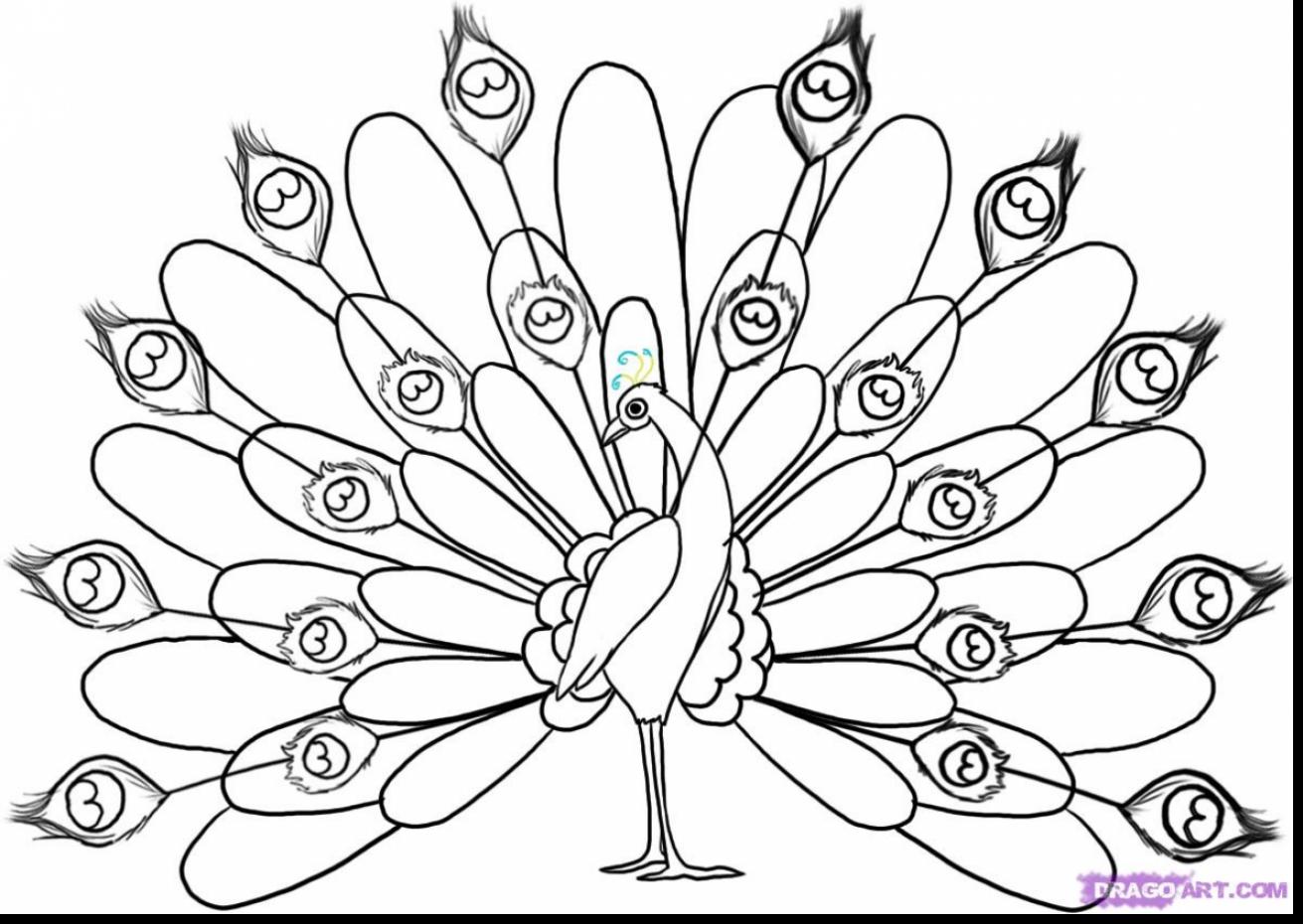 1311x930 Astonishing Indian Peacock Coloring Pages With Peacock Coloring