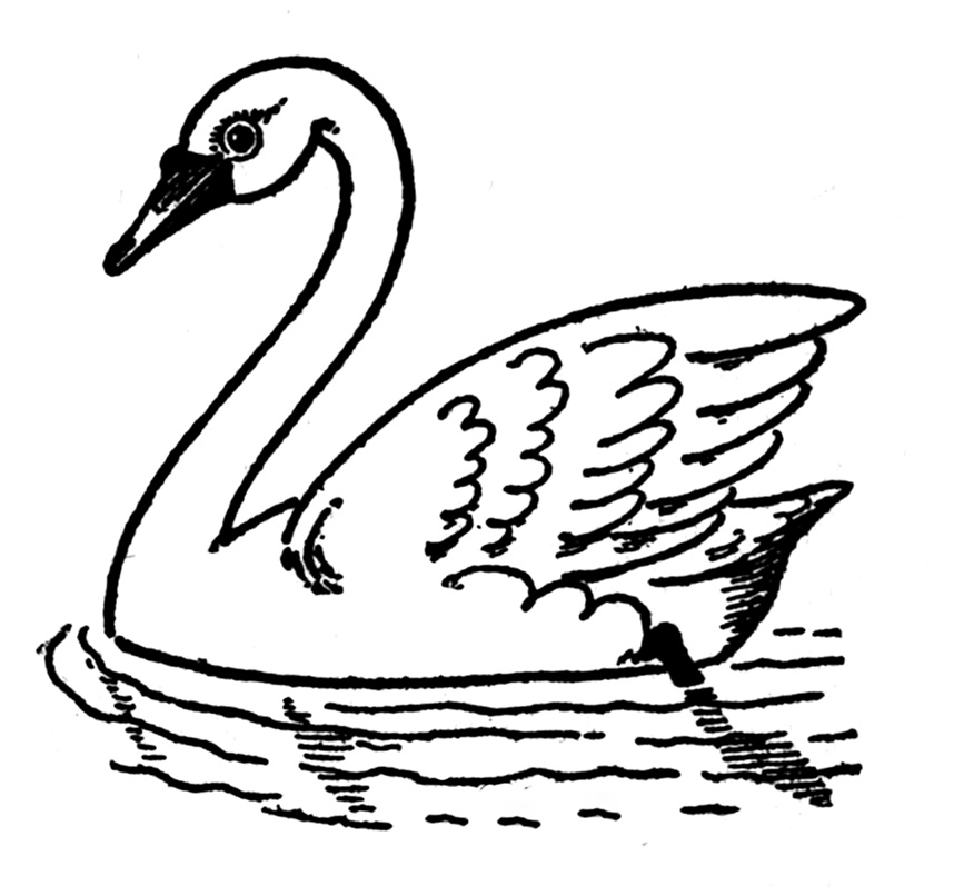 858x806 Vintage Kids Printable Draw Some Swans Coloring 4