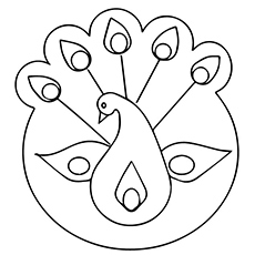 Peacock Drawing Simple