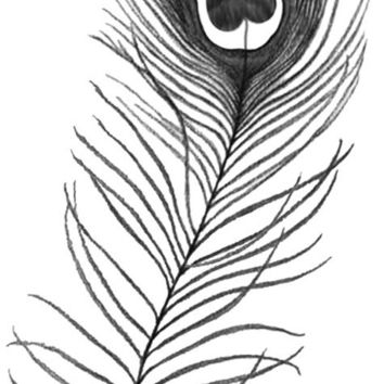 354x354 Peacock Feather Outlines