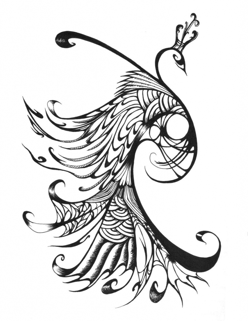 791x1024 Peacock Line Drawing