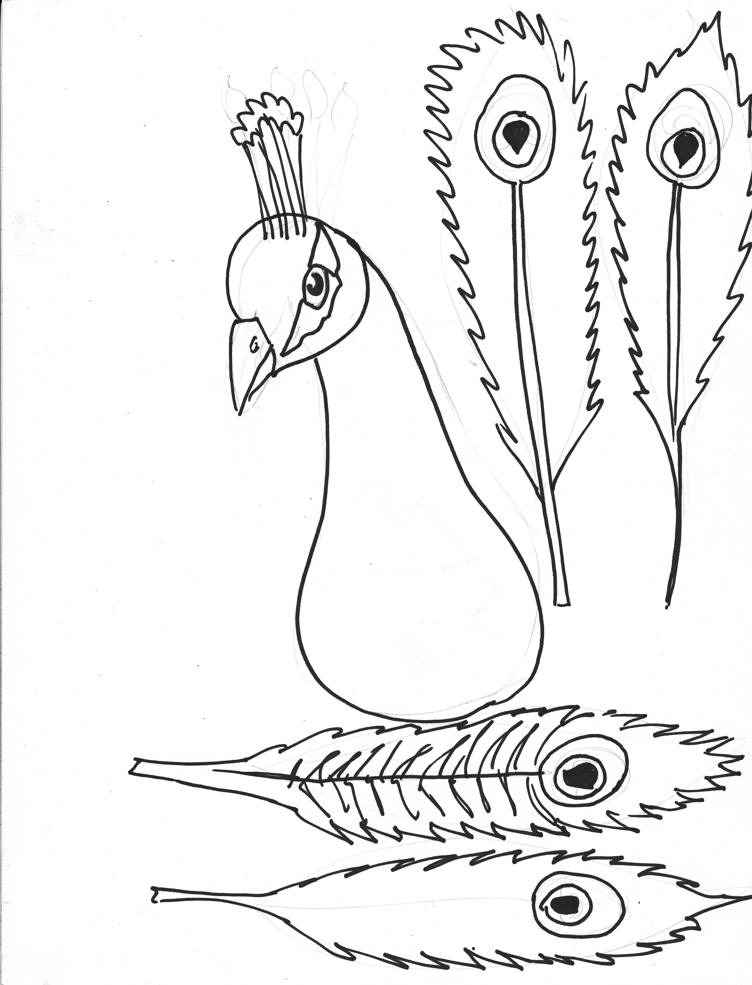 2512x3288 Peacock Clipart Coloring Page