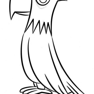 320x320 Simple Animal Coloring Pages How To Draw A Peacock For Kids Step