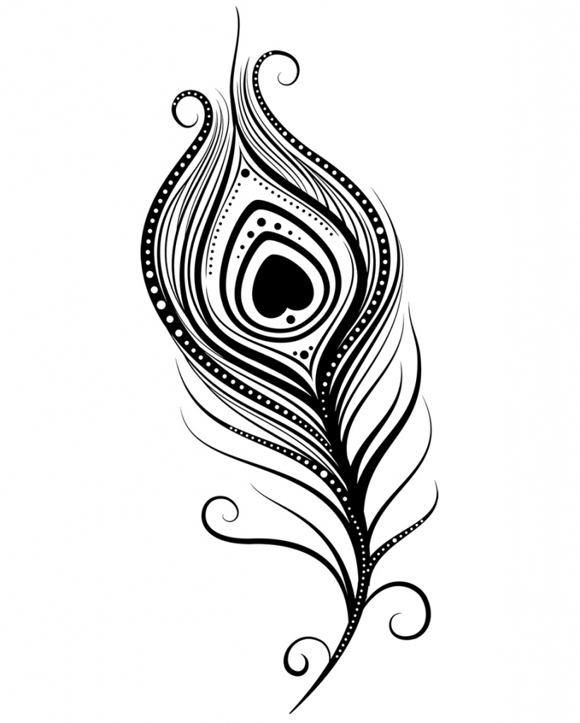 821x1024 Simple Peacock Feather Drawing