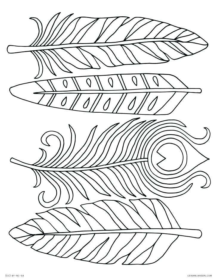 728x942 Coloring Pages. Feather Coloring Page