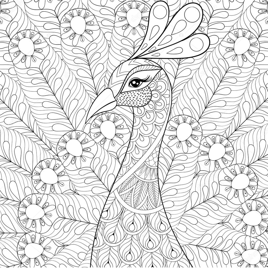 1021x1023 Peacock With Feathers In Zentangle Style. Freehand Sketch For Ad