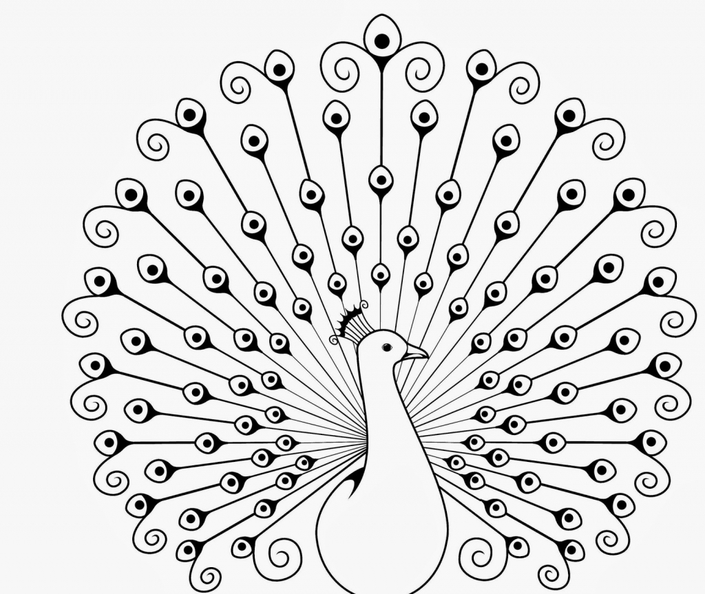 1024x863 Peacock Feather Drawing Peacock Feather Black White Drawing By