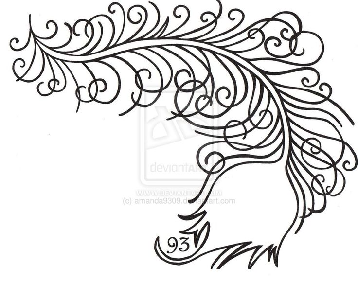 Peacock Drawing Step By Step