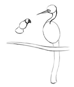 236x278 Image Result For Peacock Drawing Step By Step Aprendiendo