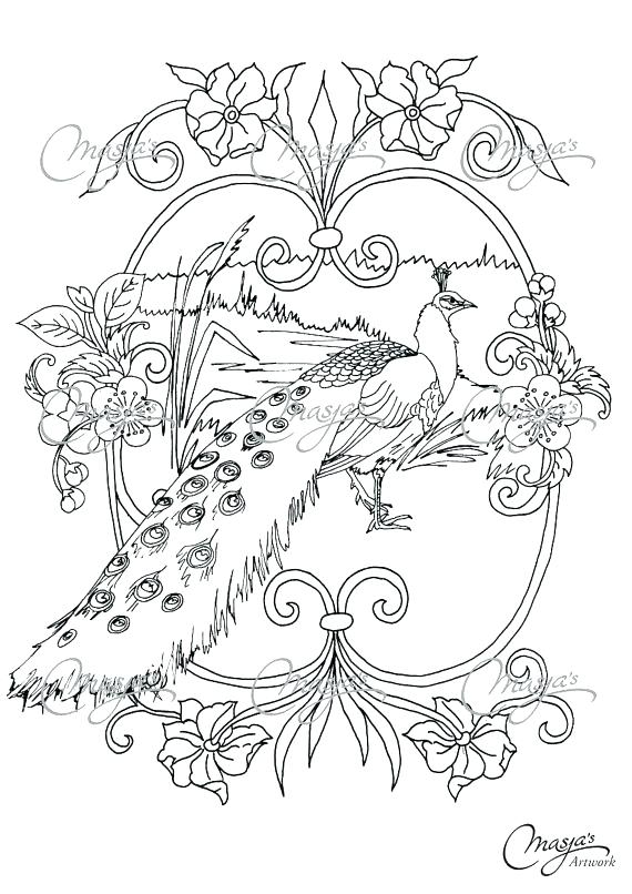 570x806 Minimalist Peacock Coloring Pages Kids Coloring Pages