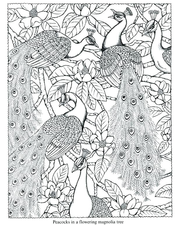 608x770 Minimalist Peacock Coloring Pages Kids Step By Feathers The Book