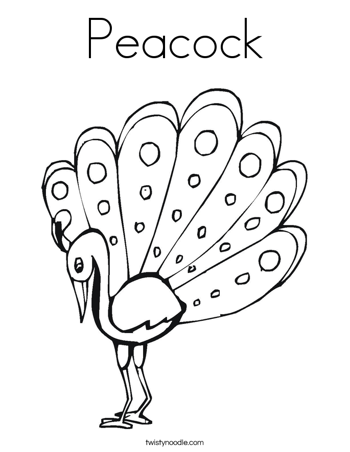 685x886 Peacock Coloring Page