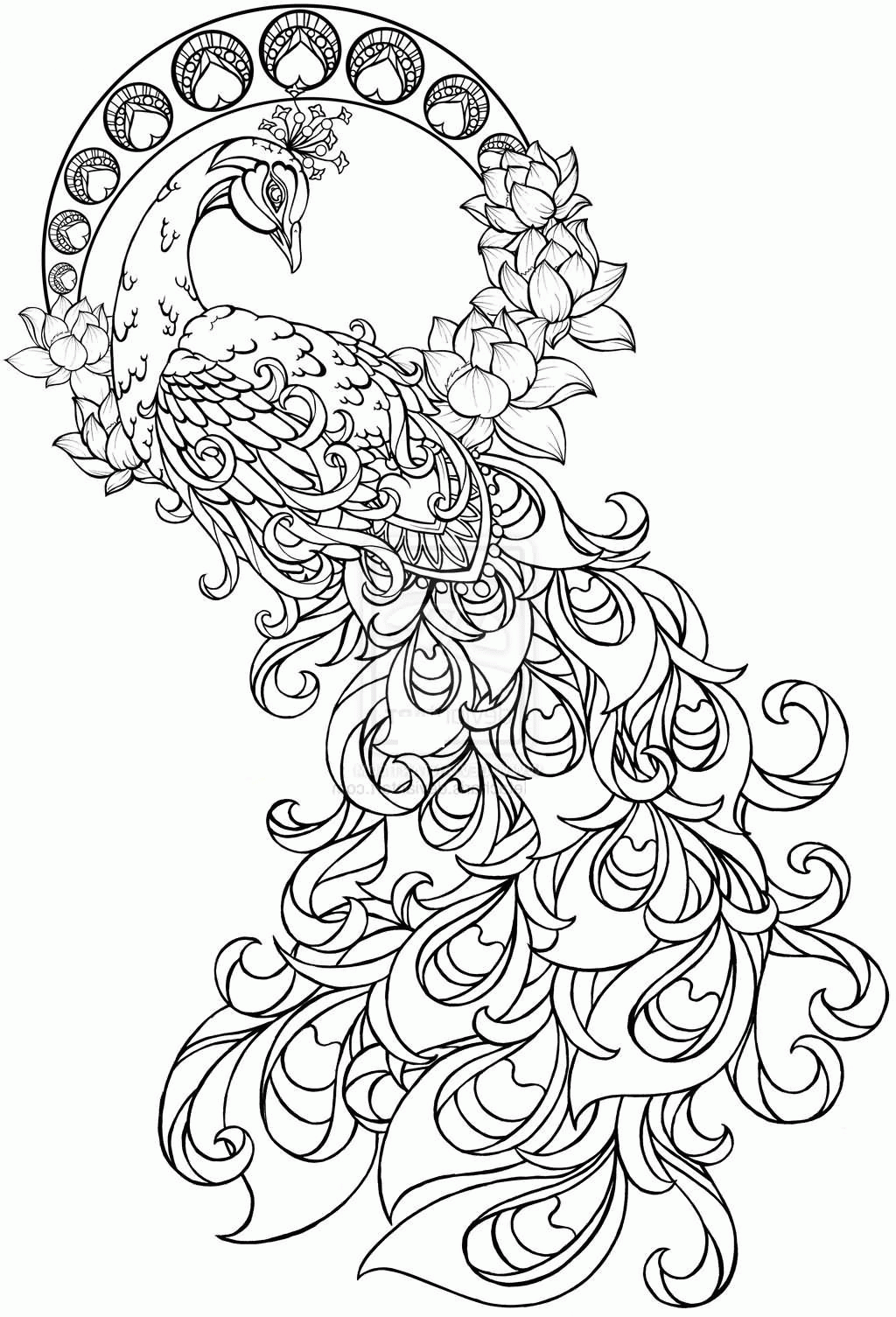 1024x1505 Peacock Coloring Pages For Big Kids And Adults Printable