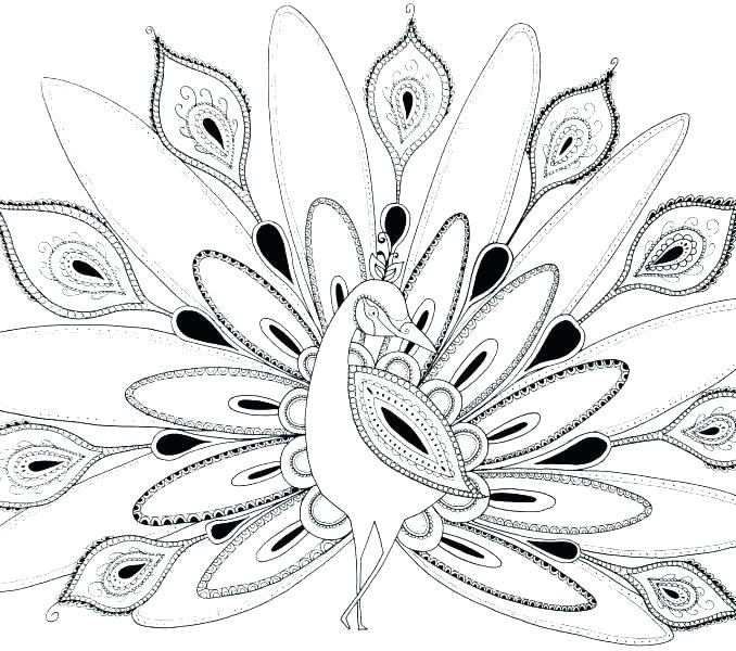 678x600 Peacock Feather Coloring Page Best Of Peacock Coloring Pages