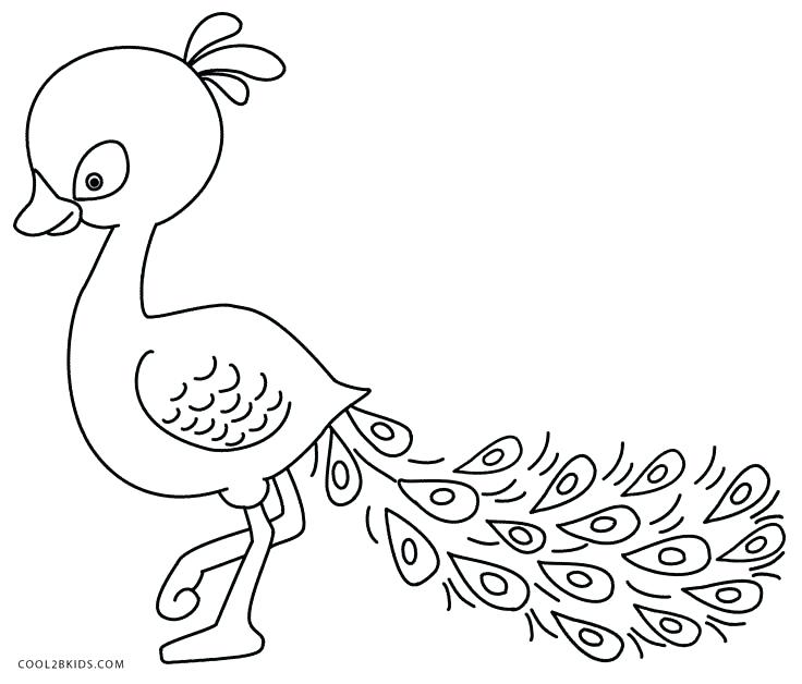 736x628 Peacock Feather Coloring Page Feather Coloring Page Peacock