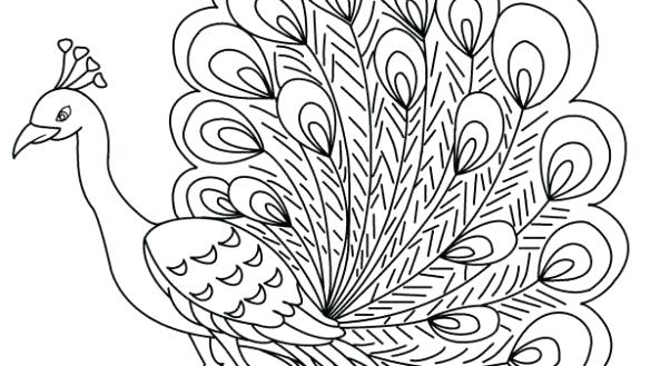 585x329 Peacock Pictures Coloring Pages Simple Best Coloring Pages