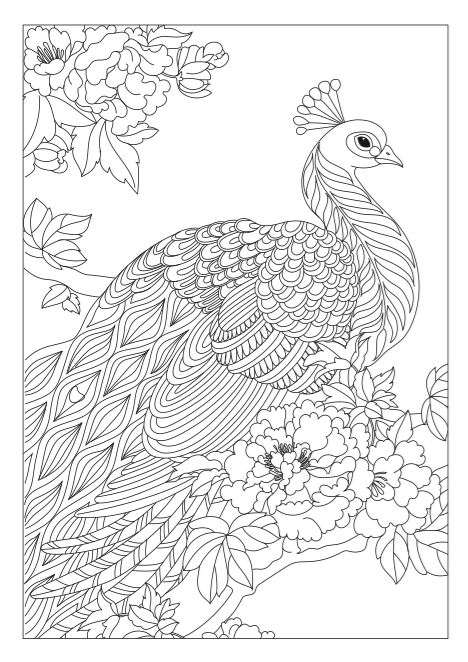 468x662 Step By Step Coloring Sitting Pretty