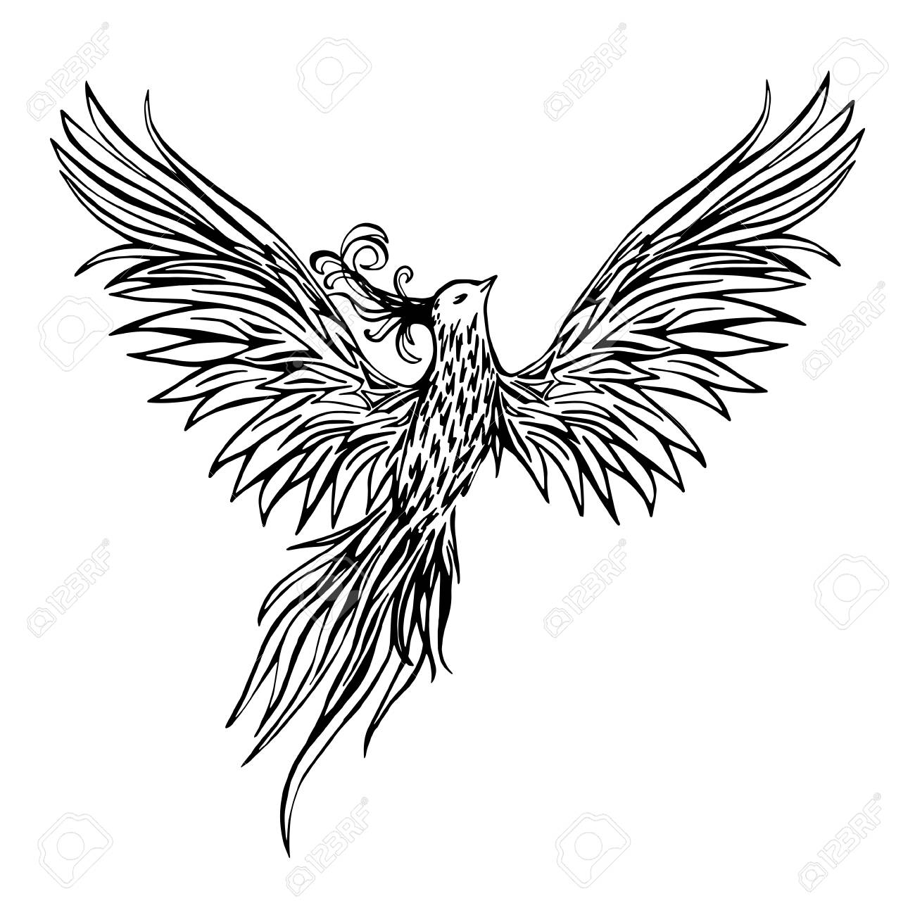 1300x1300 Hand Drawn Chinese Peacock Tattoo.asian Phoenix Fire Bird Tattoo