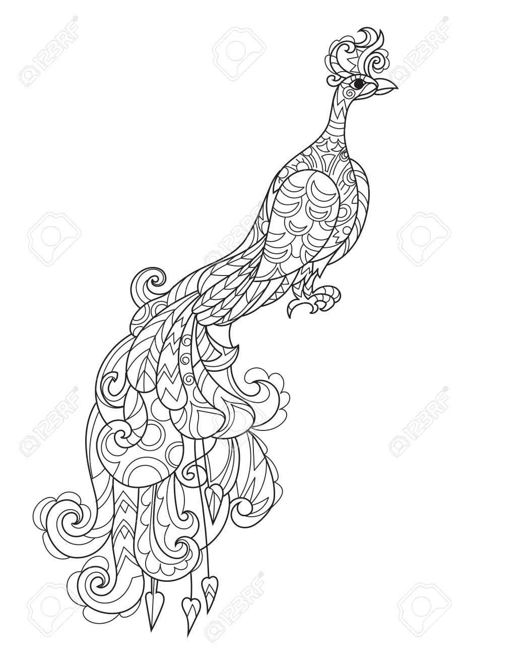 1040x1300 Zen Art Stylized Peacock In Flowers. Hand Drawn Doodle Boho Vector