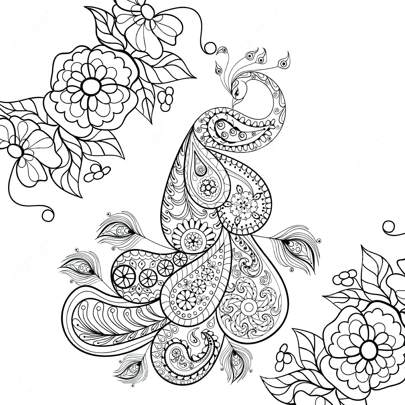 1300x1300 Printable Zentangle Peacock Coloring Pages Printable Page