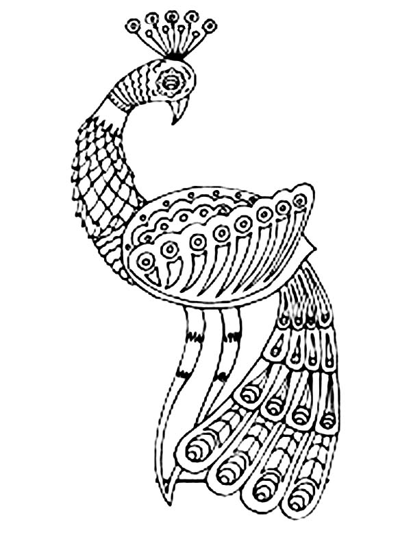 600x777 Indian Peacock Drawing