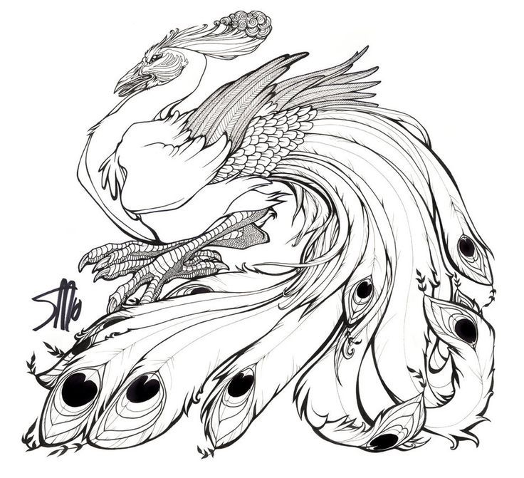 736x671 54 Best Coloring Images On Coloring Books, Colouring