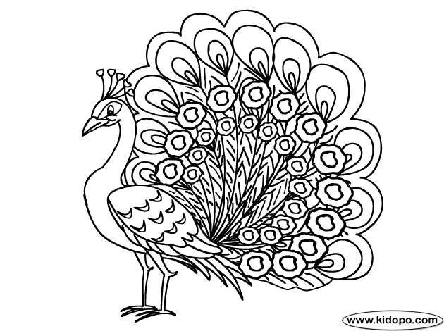 630x470 Free Printable Adult Coloring Pages For Adults Peacock