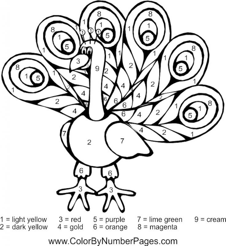 736x799 66 Best Peacocks Images On Colouring Pages, Peacock