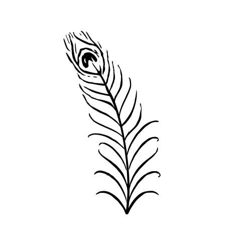 Peacock Feather Drawing at GetDrawings | Free download