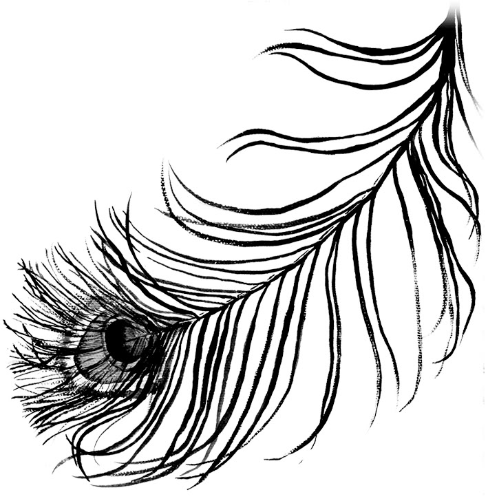 709x728 Peacock Feather Border Designs Clipart Panda