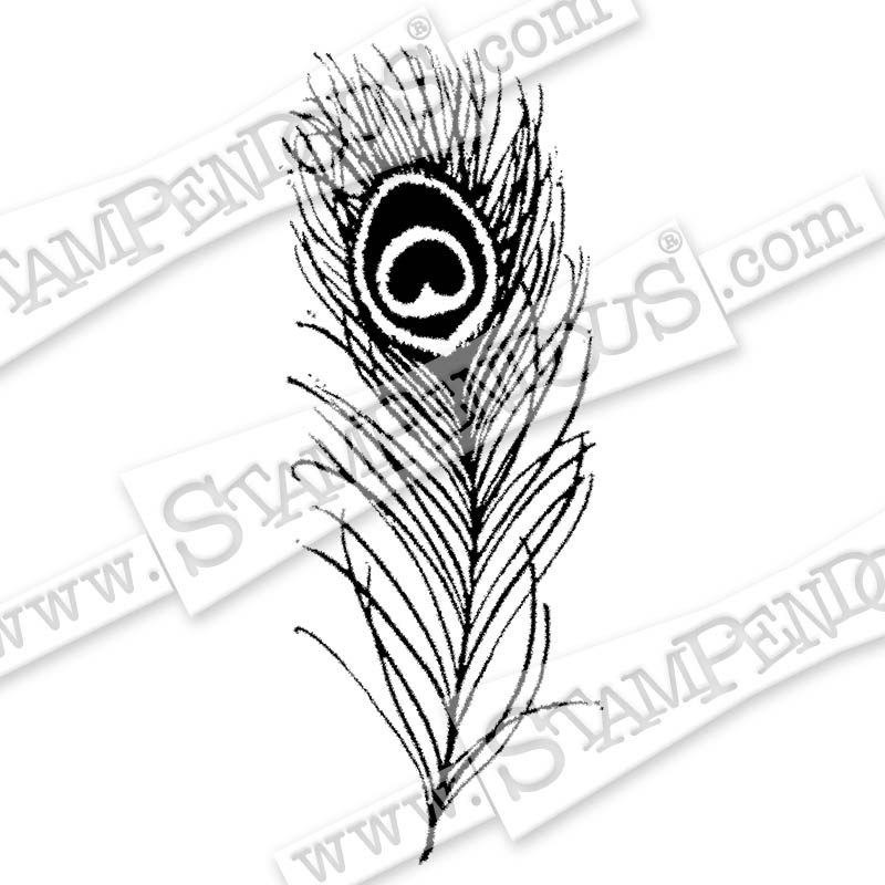 800x800 Peacock Feather Rubber Stamp