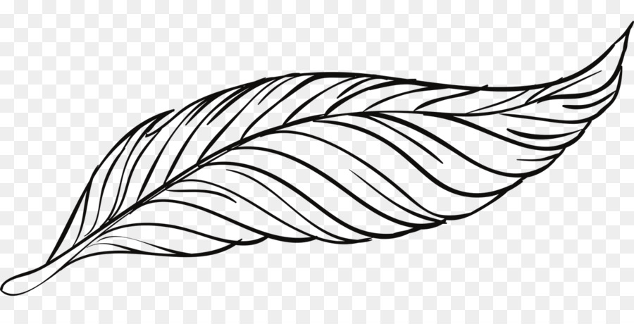 900x460 Bird Goose Feather