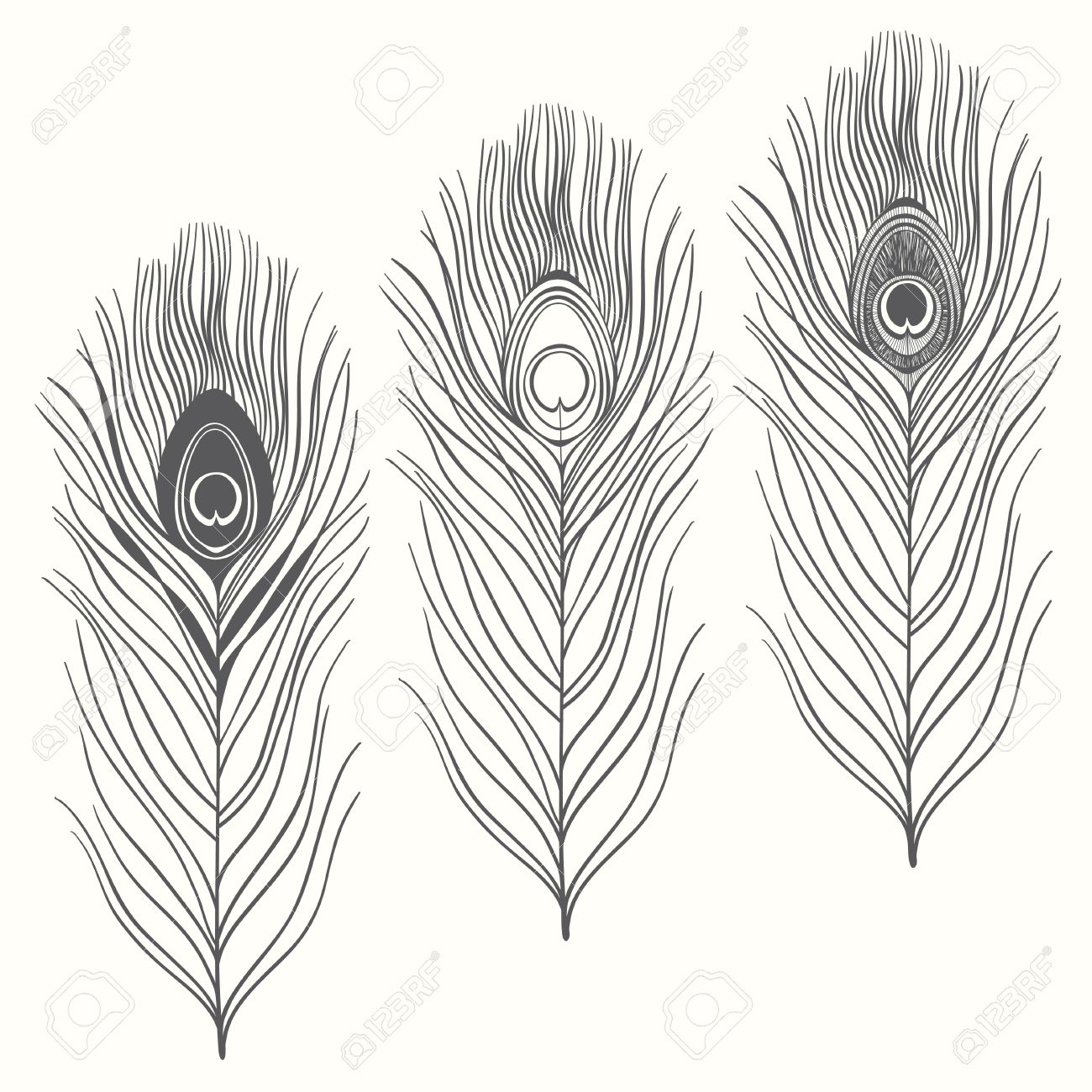 1300x1300 Set Of Peacock Feathers Isolated On White Background. Hand Drawn