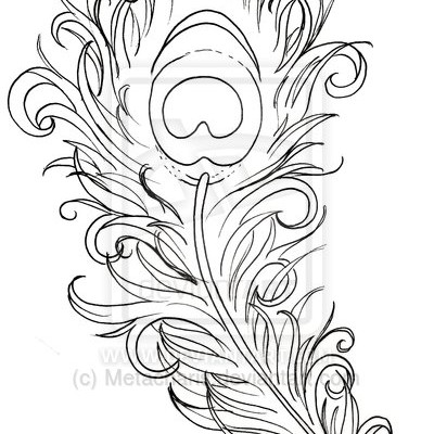400x400 Collection Of Peacock Feather Tattoo Stencil