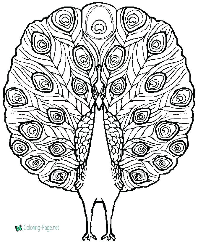 670x820 Feather Coloring Pages Printable Turkey Feather Coloring Pages