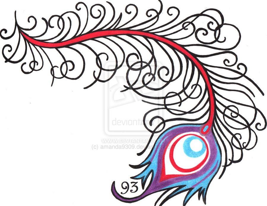 900x697 Simple Peacock Feather Design