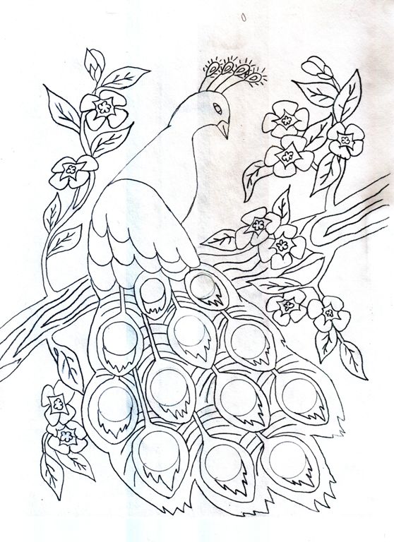 558x768 Peacock Girl Sketch Dump By Sassybananas Traditional Art Drawings