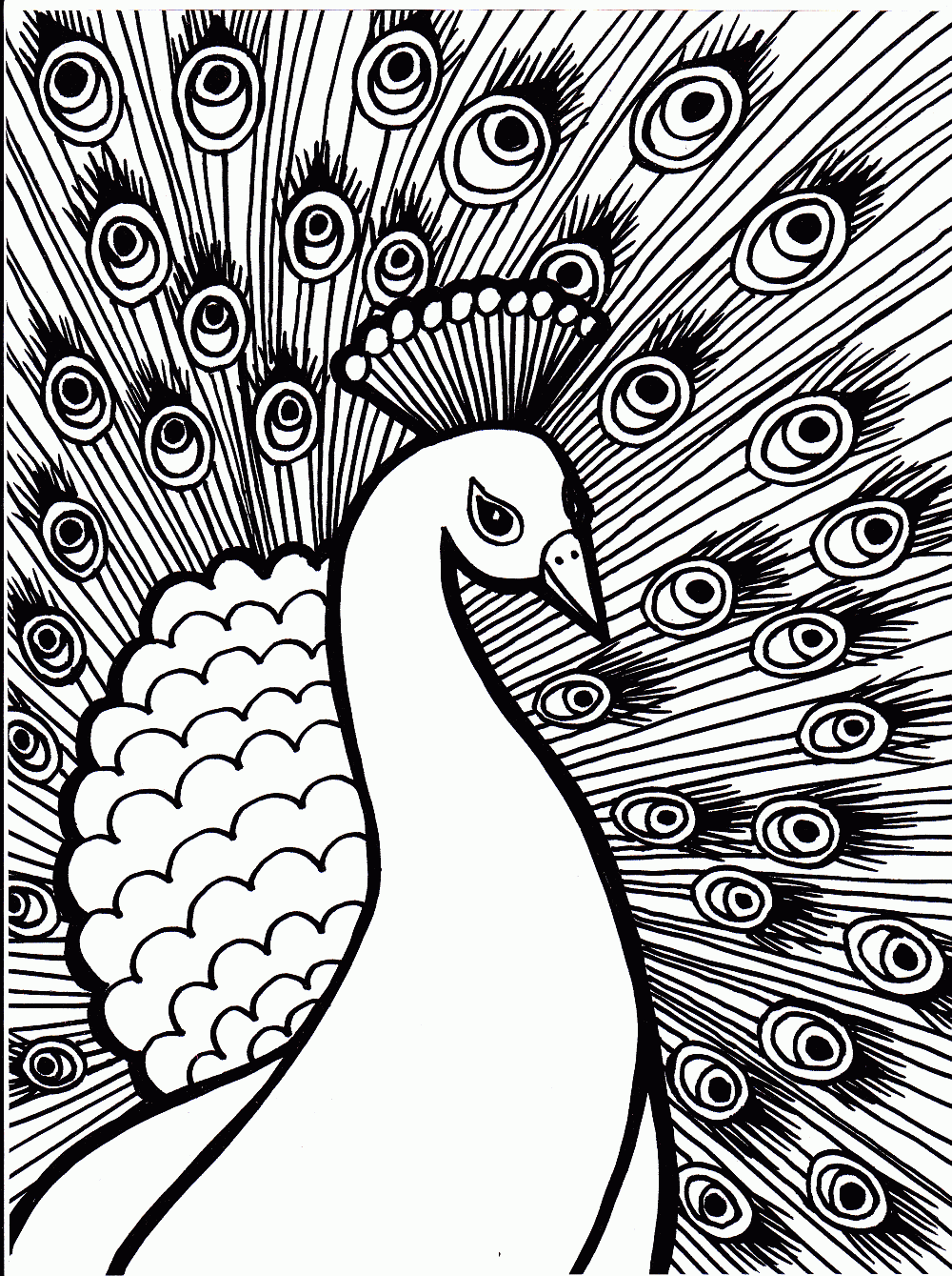 1000x1339 Great Coloring Pages Of Peacocks 1