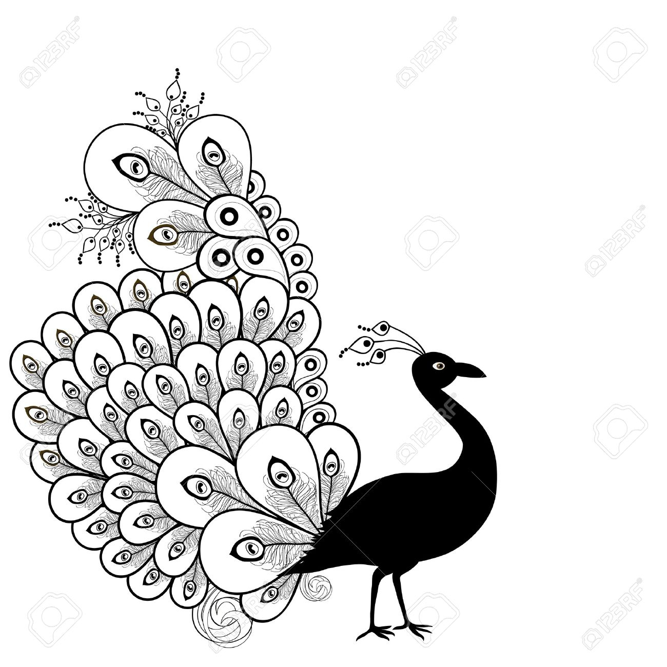 1300x1300 Peacock Drawing Black And White Peacock Black And White Images