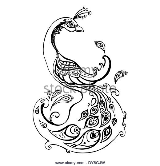 520x540 Peacock Feather Black And White Stock Photos Amp Images