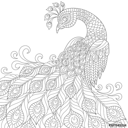 500x500 Decorative Peacock. Adult Anti Stress Coloring Page. Black