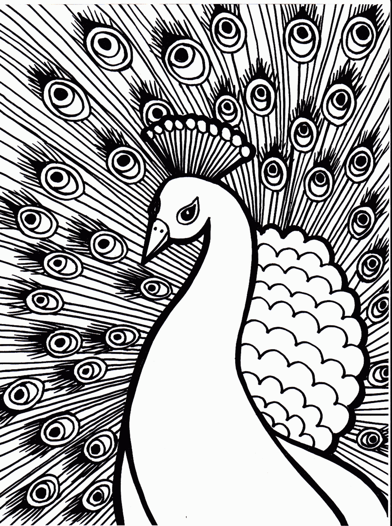 1250x1674 Impressive Peacock Coloring Pages Top Child Co