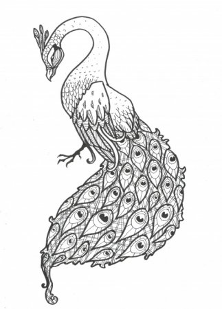 323x450 Pencil Drawings