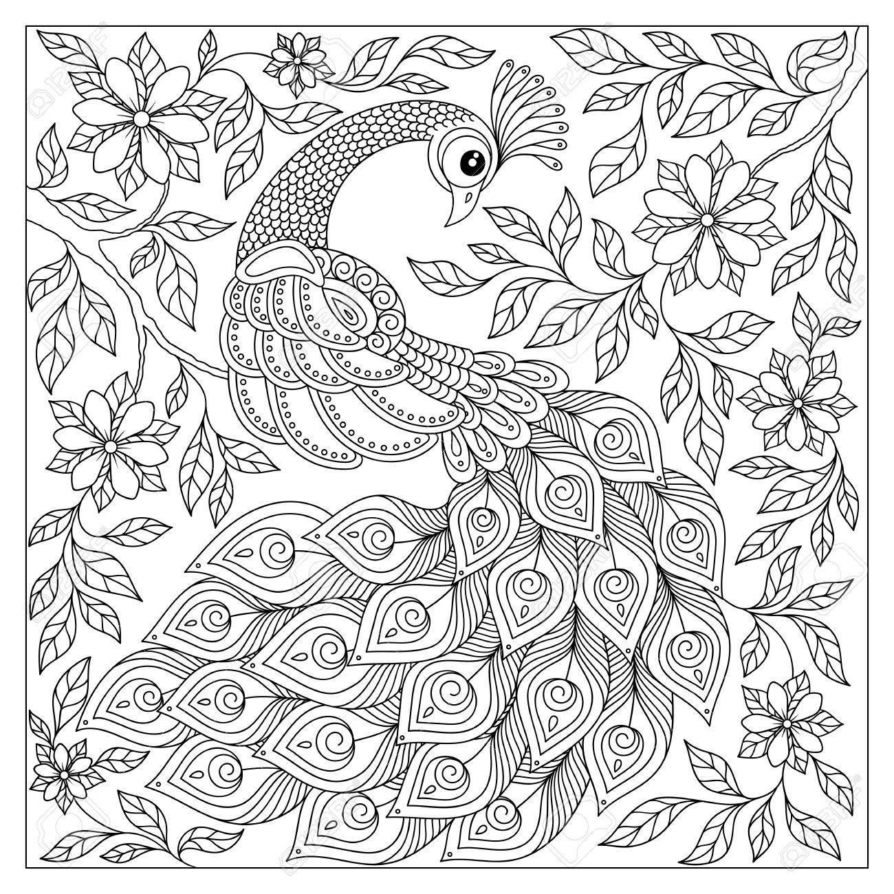 1300x1300 Vintage Hand Drawn Pattern Black And White Doodle Peacock. Design