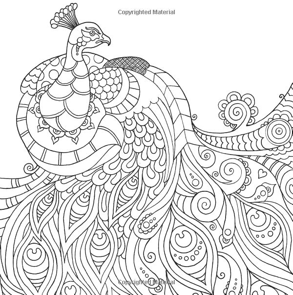 600x603 Peacock Coloring Pages For Big Kids And Adults Printable