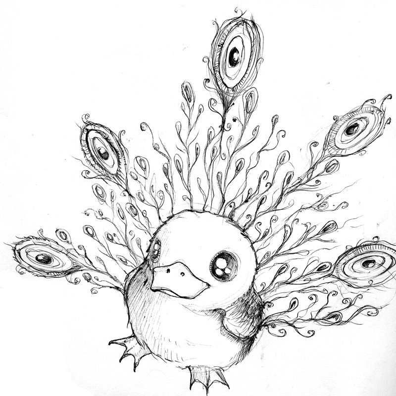 800x800 Peacock Pencil Sketches