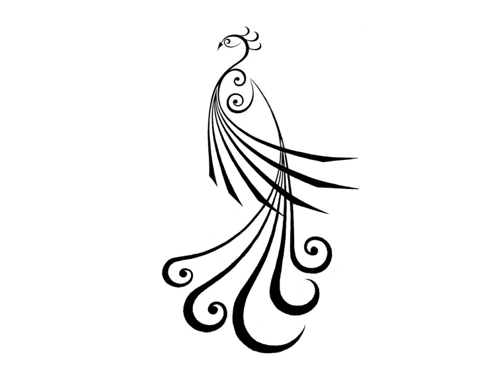 1024x768 Simple Peacock Pencil Drawing Simple Peacock Drawing Simple