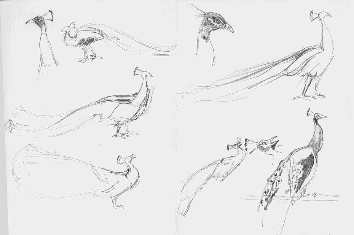 1194x792 Lifedrawing Paul Schwarz Artlog Page 2