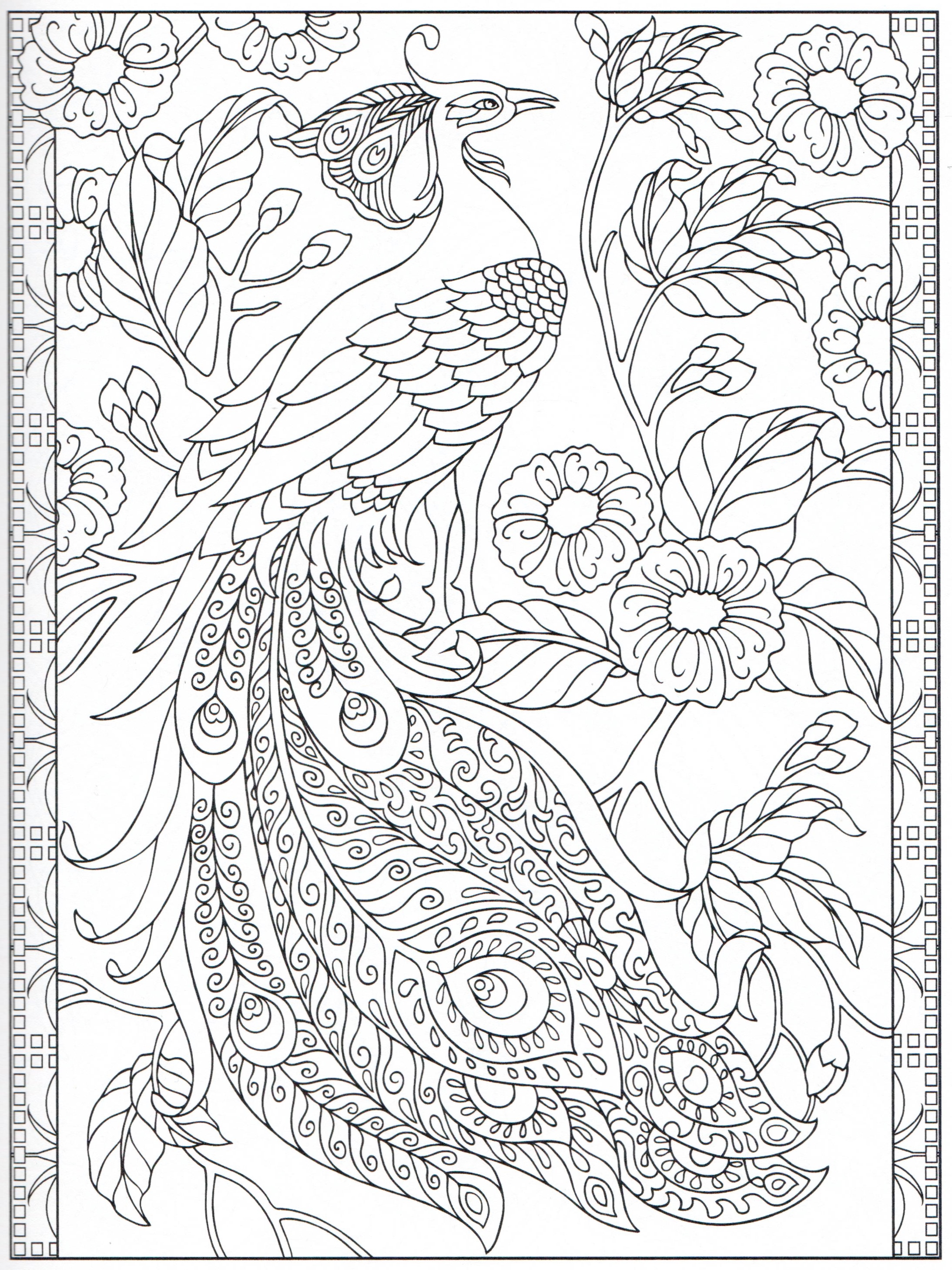 2188x2919 Peacock Coloring Page 2431 Color Pages, Stencils, Templates