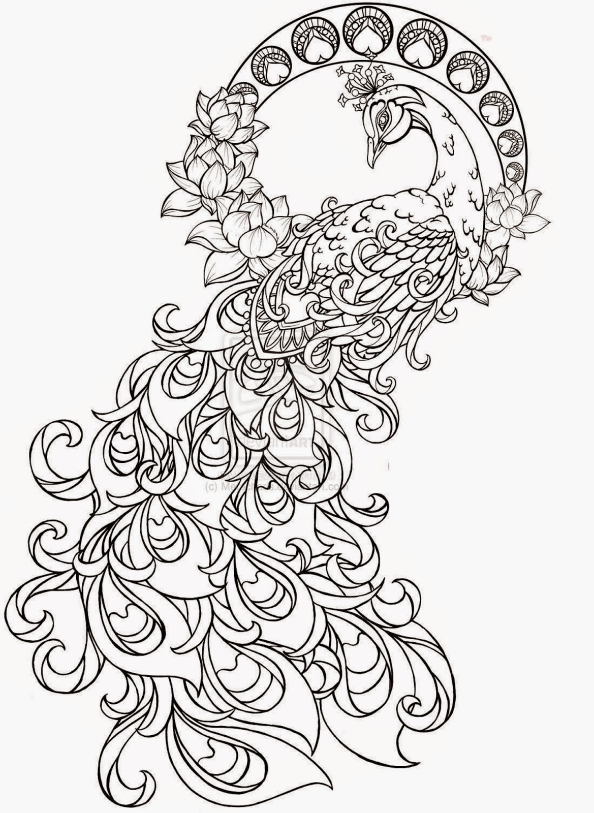 1169x1600 Colours Drawing Wallpaper Simple Drawing Of Green Peacock Its Kid